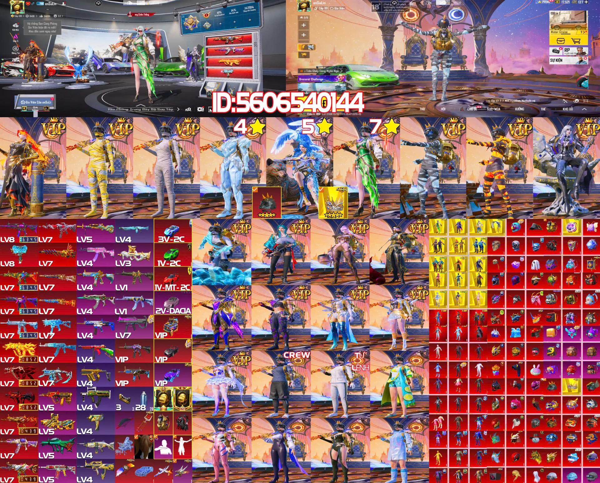 B3679(AUG Naruto +Ướp Mũ Đinh)